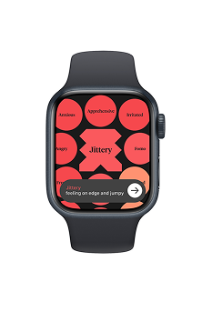 How We Feel on Apple Watch screenshot 7
