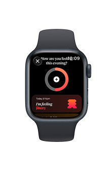 How We Feel on Apple Watch screenshot 9
