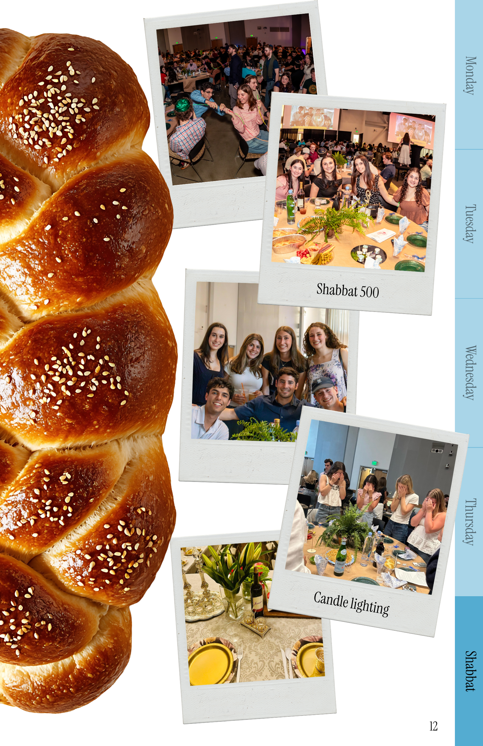 Pamphlet screenshot 15