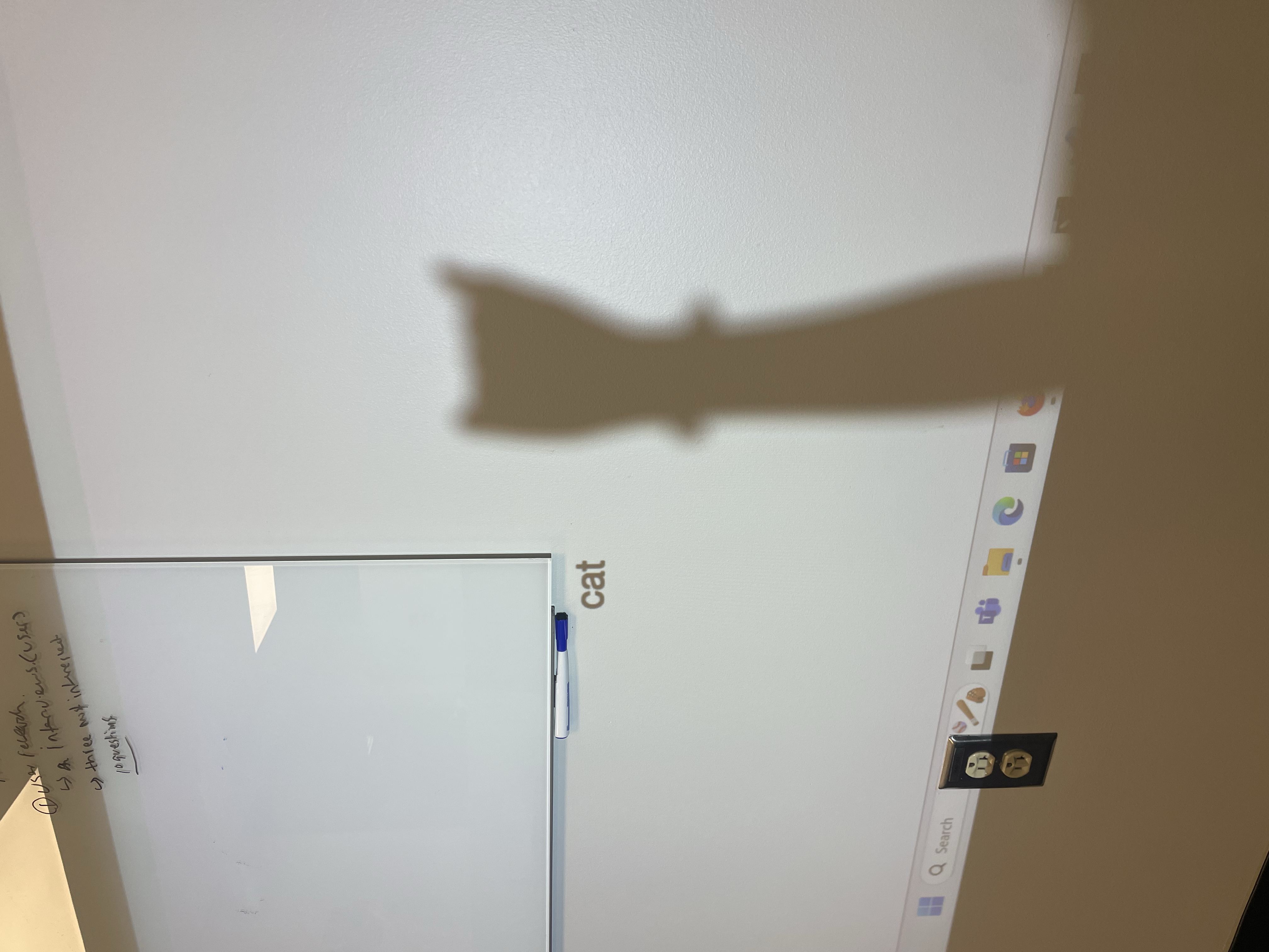 Live installation — cat shadow recognized on projection