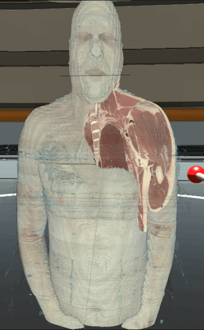 Visible Voxel screenshot 1